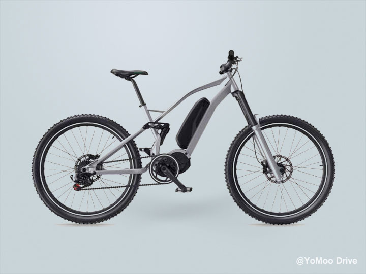 electric bike for Euro.jpg